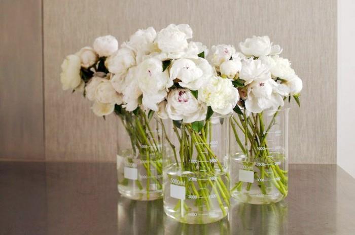 0-cylindrisk-vas-glas-hur-att-förvara-blommor-i-en-transparent-boll-vas