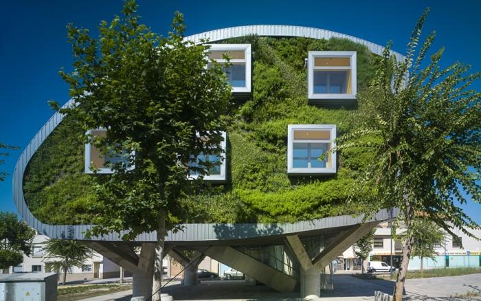 zelená stena na fasáde futuristickej budovy oválneho tvaru, vertikálna kultúra, vonkajšia zelená stena okolo piatich štvorcových okien
