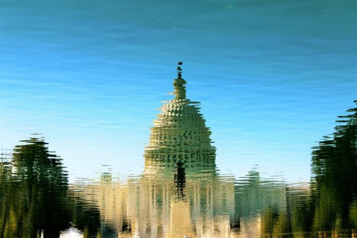 Vita huset, Washington med sin bild i vattnet, med bilder av träd och den blå himlen, fågel uppe på taket av Vita huset
