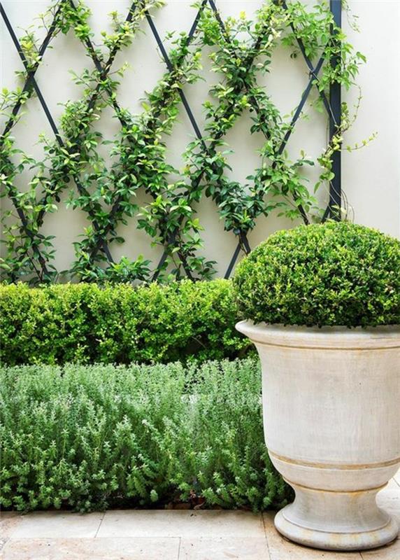 Oblečte vonkajšiu stenu do čiernych metalických tvarov, diamantových tvarov, na ktorých môžeme pozorovať plazivé rastliny, vonkajšie obloženie stien v záhrade, zelený a pokojný kútik