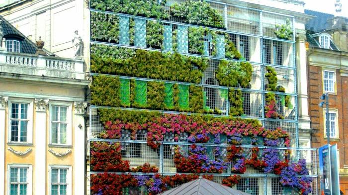 vertikálne pestovanie na veľkej obytnej budove, plazivé rastliny na hliníkových kovových rámoch, zelené, fialové, žlté a červené rastliny, rastlinný koberec