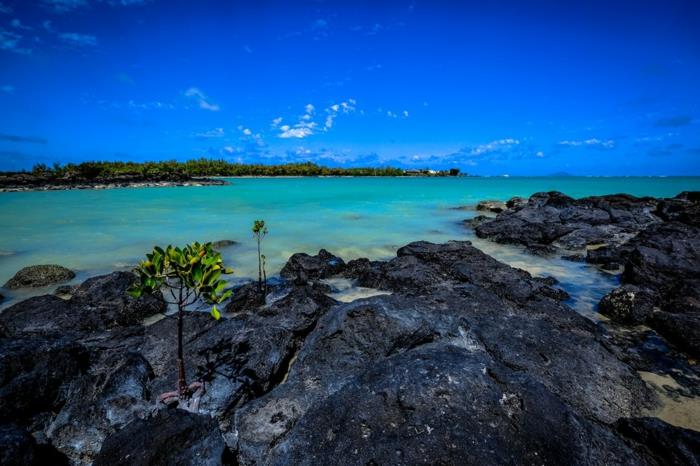 landskap bakgrund, paradisiska öar, paradisiska landskap, Mauritius, Stilla havet, transparent blått vatten, blå himmel