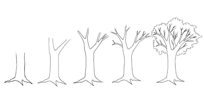 كيفية رسم ورقة شجرة خطوة بخطوة كيفية رسم فرع شجرة