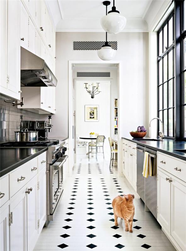 1-pekná-kuchyňa-s-čierno-bielymi kockovanými dlaždicami-béžová-mačka-pekná-kočka-v-kuchyni