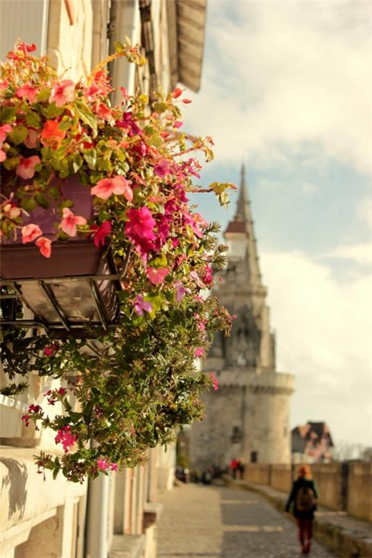1-de-vackraste-städerna-i-frankrike-la-rochelle-fleurs