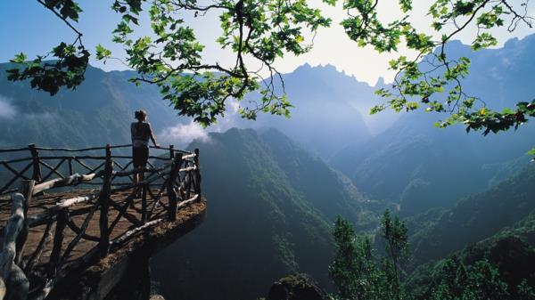 besök-portugal-semester-i-madeira-grön-ö-natur-undra-storlek