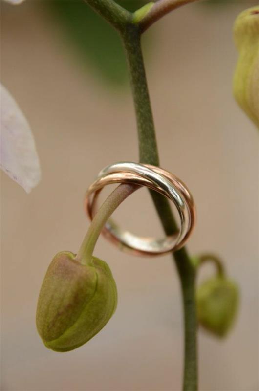 6-خاتم-زفاف-بثلاث حلقات-نبات