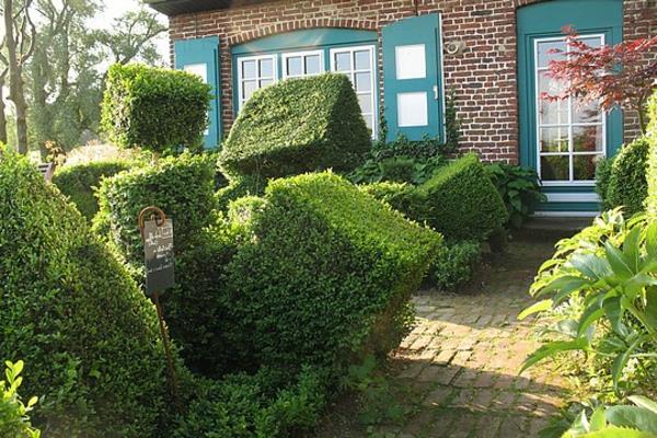 779803-les-droles-de-buis-de-la-chambre-d-hiver-resized