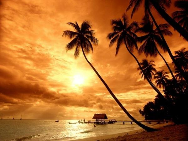 Západ slnka nad morom-palmy-