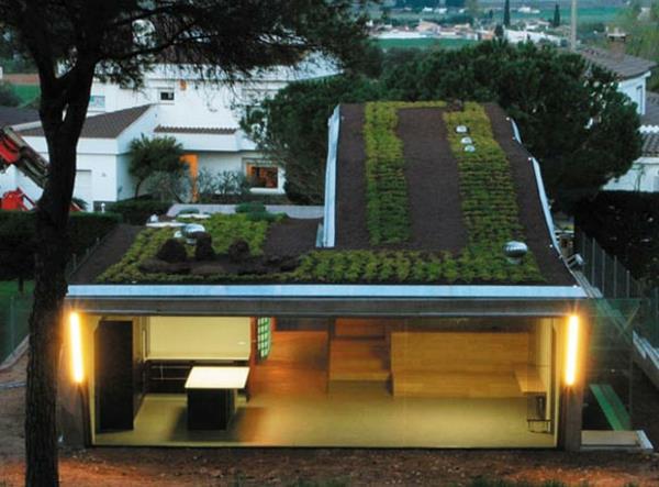 Hydroponiaque-Rooftop-Garden-of-Villa-