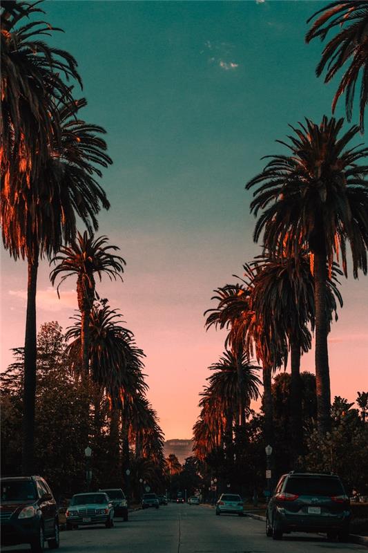 Los Angeles för att fasa ut bensinbilar 2030, LA -solnedgångsfotografi, Hollywood -skylt, gata med parkerade bilar och palmer