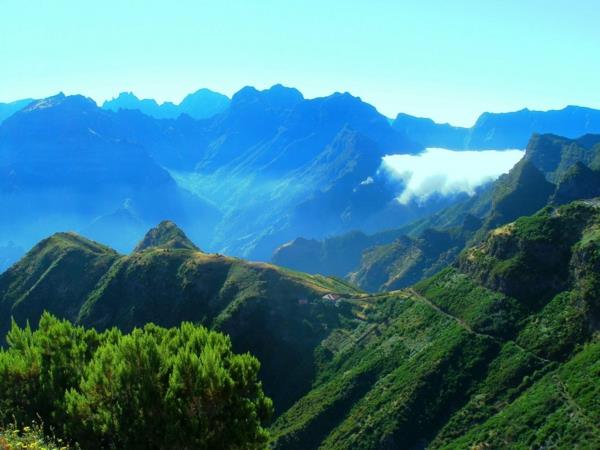 Madeira-natur-magnifika-Portugal-vackra växter