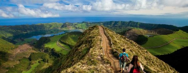 Madeira-krajina-zelená-príroda-rastliny-morská veľkosť