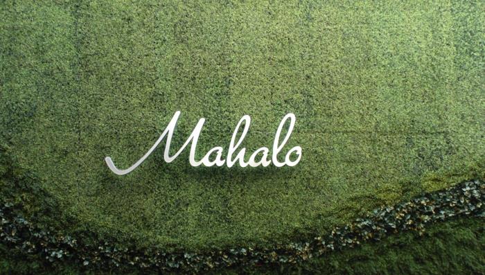 zelená stena s hliníkovým nápisom Mahalo, vonkajšia zelená stena s názvom budovy, zvlnené vzory v dvoch rôznych odtieňoch zelenej