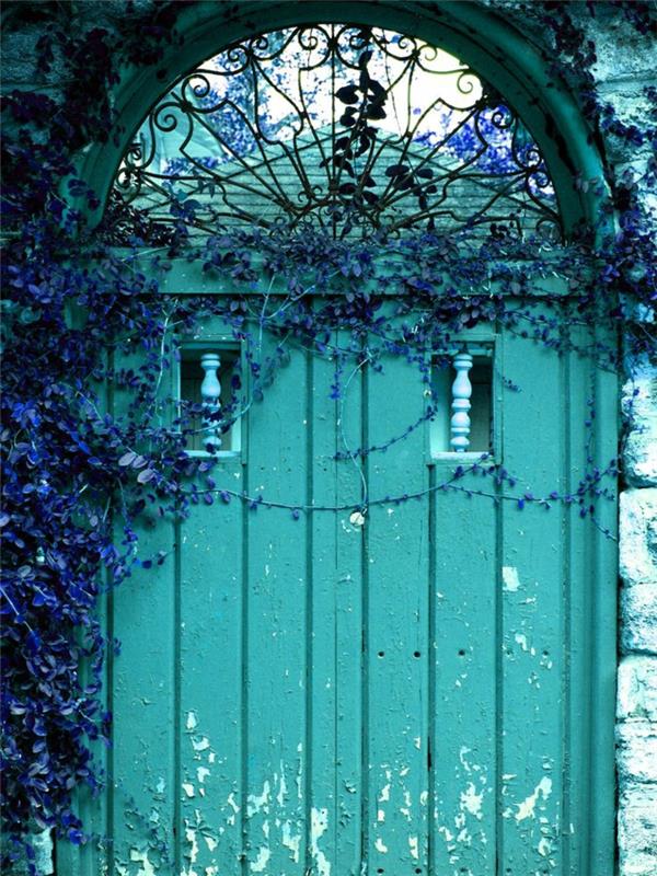 Dvere-do-vstupu-akvamarín-farba-rastlina-vchod