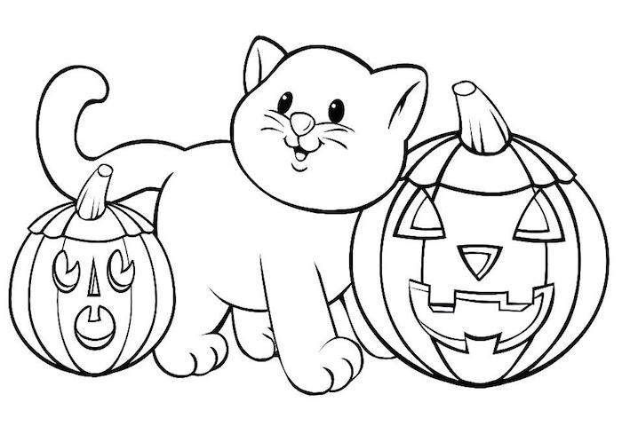 halloween målarbok småbarn kattunge med pumpor målarbok