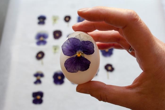 en manuell våraktivitet på temat att dekorera påskägg med pressade blommor