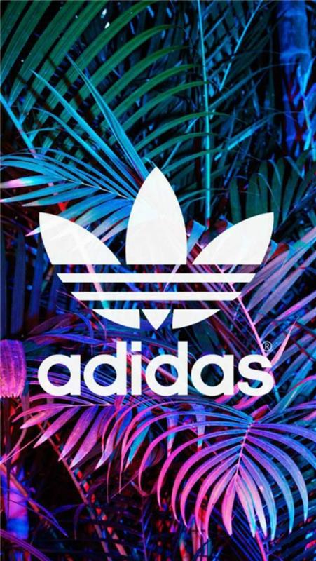 stor adidas -logotyp, coola iphone tapeter, rosa och gröna palmblad bakgrund