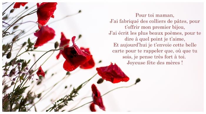 Fotografia s textom ku dňu matiek, báseň ku dňu matiek, kvety k sviatku červený mak na bielom pozadí