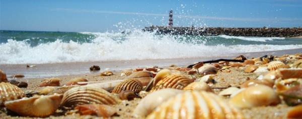 algarve-fyr-hyllor-havet-hav-sand