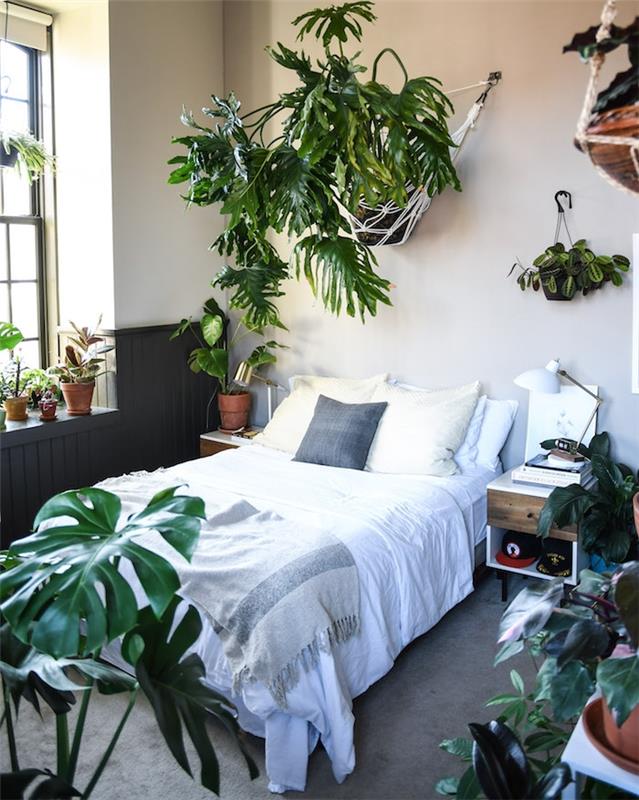 perleťovo sivé steny, sivý koberec, biela posteľná bielizeň, monstera deliciosa a ďalšie izbové zelené rastliny, sivý drevený podklad