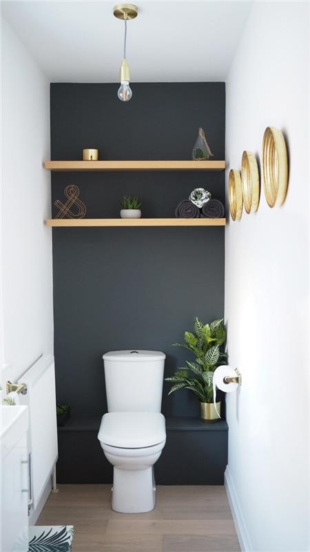 ako vyzdobiť malú toaletu, príklad modernej trendovej toaletnej farby v matnom prevedení sivou uhoľnou farbou
