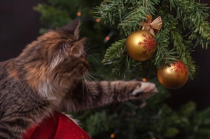 happy holidays -bild, jul tapet med en katt och en falsk julgran dekorerad med guld och röda prydnader