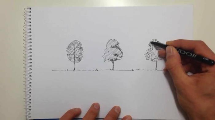 شجرة لرسم شجرة جميلة رسم سهلة لرسم خط شجرة الرسم خطوة بخطوة.