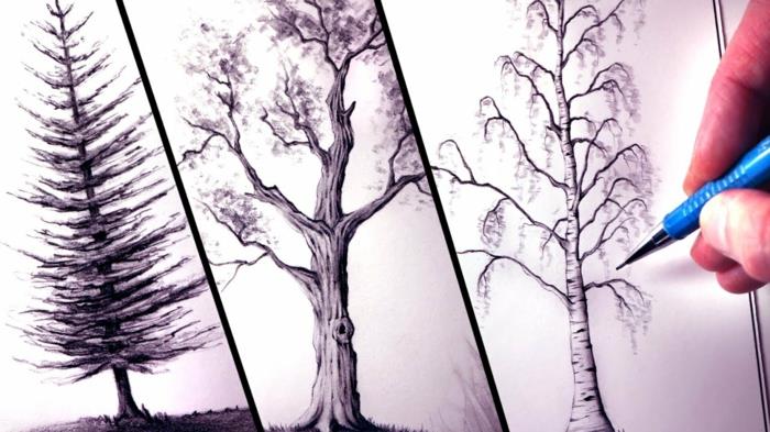 فكرة بسيطة رسم شجرة جذع شجرة رسم شجرة الرسم بالأبيض والأسود