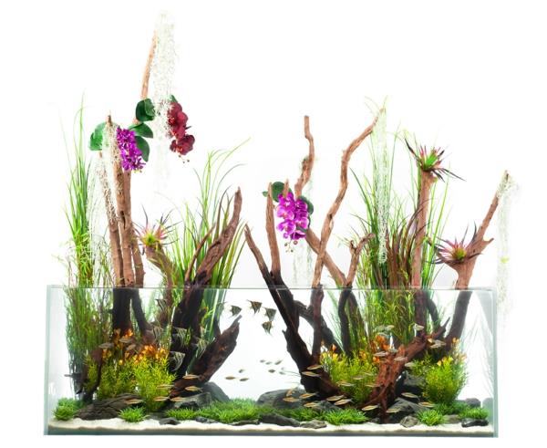 akvarium-design-enkelt-coolt