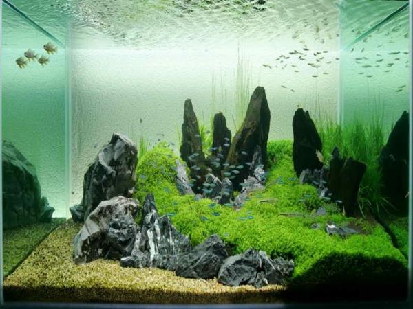 akvarium-design-enkelt-salt-vatten