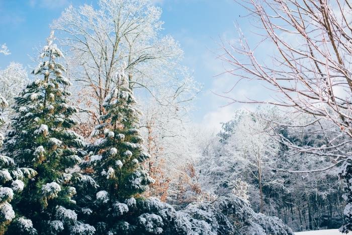 dator tapet för jul med ett snöigt landskap, jul tapeter med ett foto av naturen i snöiga berg