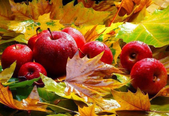 الخريف خلفية المشهد HD ، لا تزال الحياة مع التفاح والأوراق