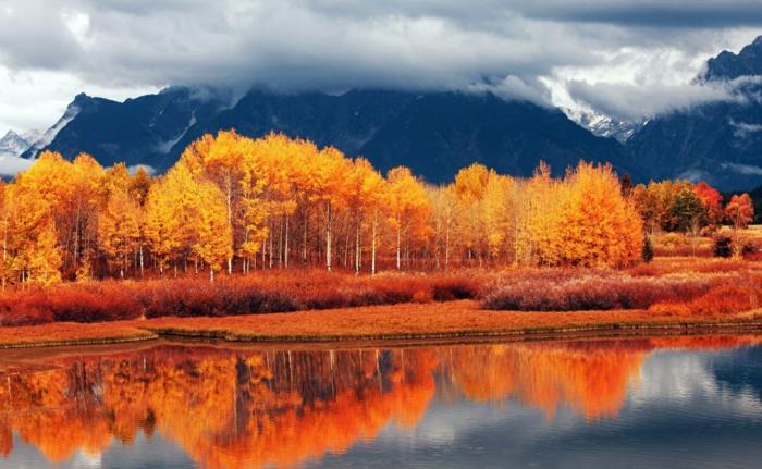 jesenna-krajina-priroda-listy-na spadnutie-do-sialenstva-krasy-image-download