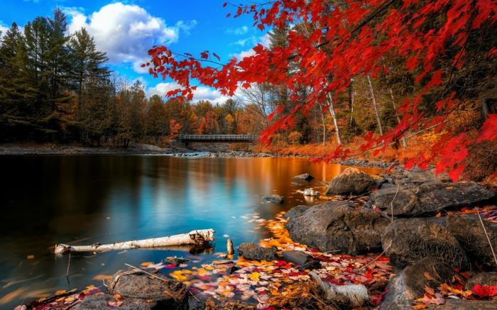 jeseň-krajina-príroda-listy-jeseň-krása-jazero-most