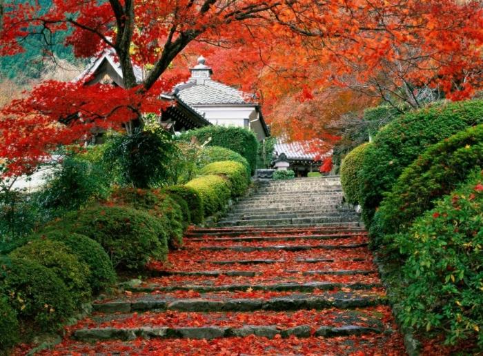 jeseň-krajina-príroda-listy-jeseň-schodisko-ázijský dom