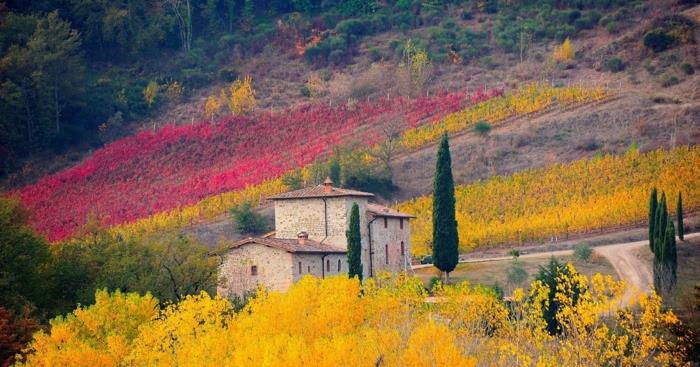 jeseň-krajina-príroda-listy-jeseň-tapeta-toskánsko
