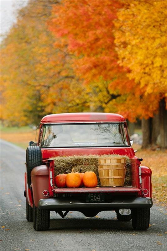 jeseň-krajina-príroda-listy-jeseň-tekvica-auto