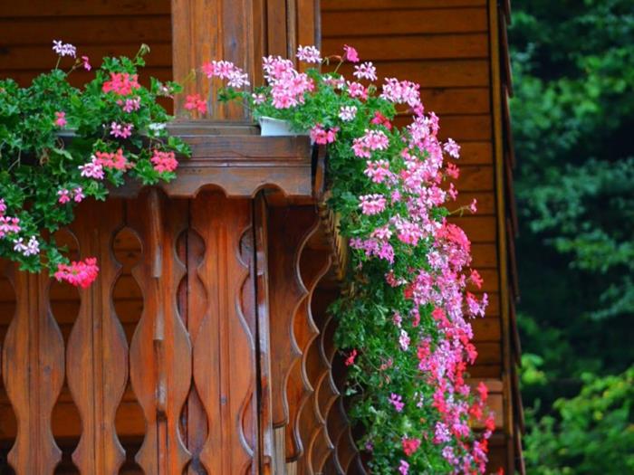 kvetinový-balkón-ako-kvet-váš-balkón-ružový-balkón-kvety-ako-ozdobiť-balkón