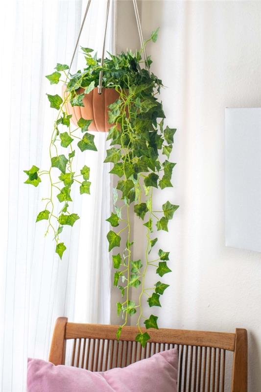 idé om en hängande kruka med pumpa design, dekorativt vila hörn nära fönstret med trämöbler och växter