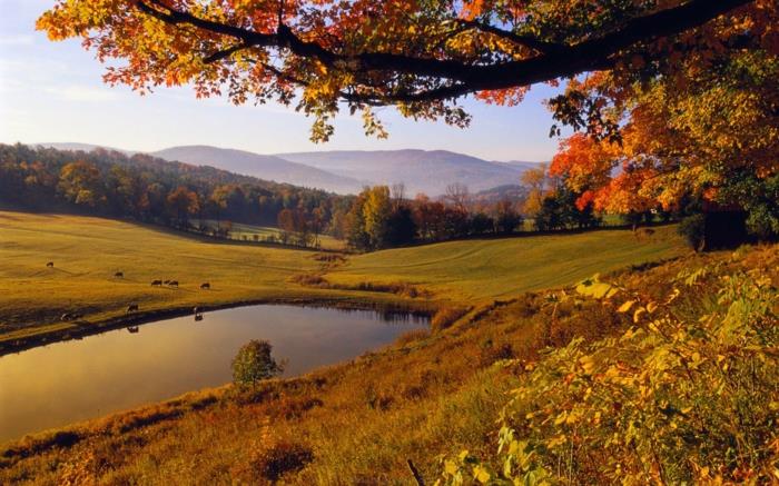 krása-prírody-krajina-na-jeseň-jazero-strom-tráva-kopce