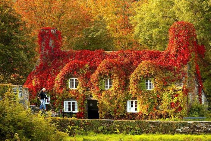 dom krásy-všetko-v-listoch-prírody-krajiny-jesennej sezóny