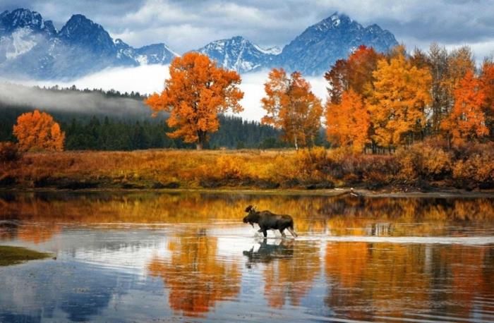 krásny obrázok na stiahnutie jesenná krajina pekná príroda
