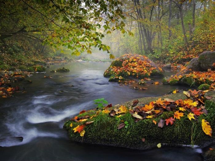 nádherný obrázok na stiahnutie jesenná krajina pekná rieka