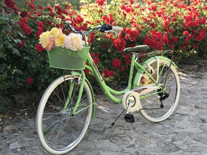 grön cykel, korg som en blomlåda med planterade rosor, häck av blommande rosor
