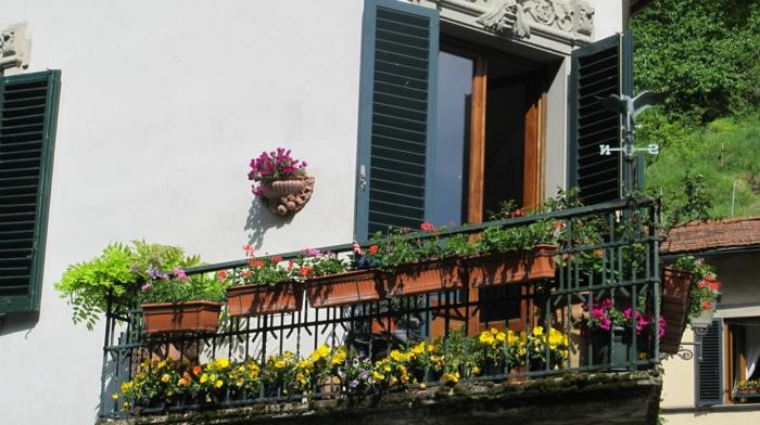 vyberte-balkón-kvety-kvet-váš-balkón-s-týmito-pekne-farebnými-kvetmi