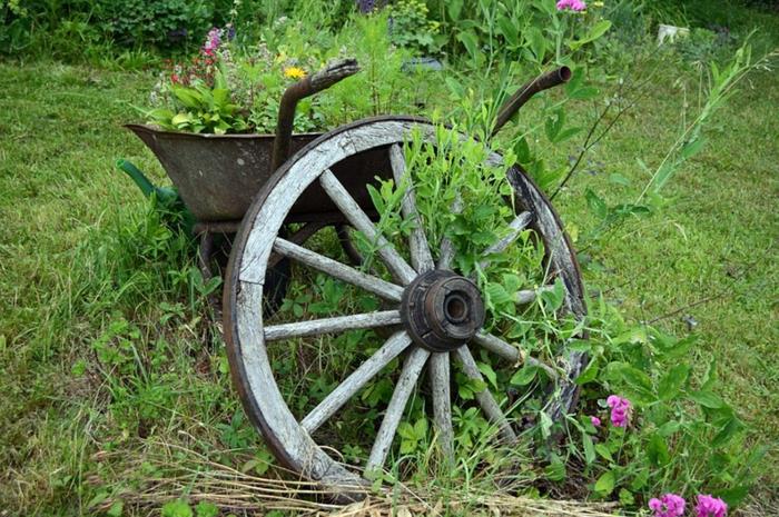 vintage metall skottkärra som stor trädgård kruka och vagn hjul, rustik trädgård dekoration, grön gräsmatta