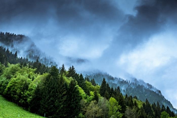 prírodná tapeta, fotografia hmly a sivých mrakov nad horami a lesmi s ihličnatými stromami