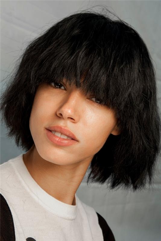 borstningsvolym kort frisyr för kvinnor frans teknik stylisering hår hem