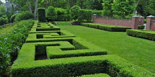 buchsbaum-formen-quadrat-resized